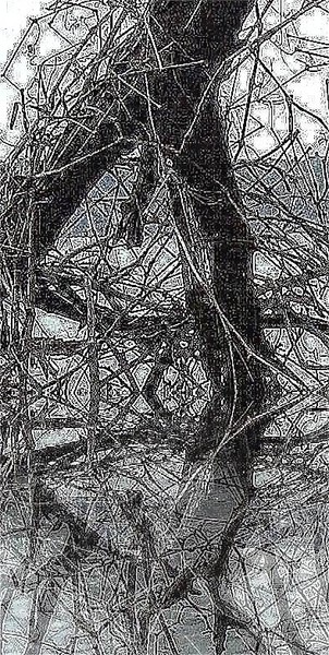 Winter tree 5