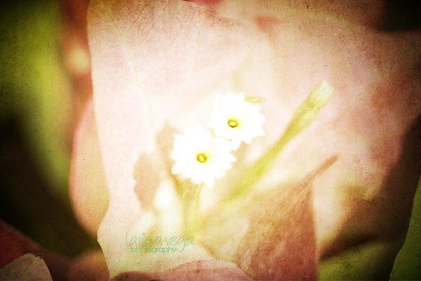 Softness