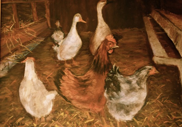 Chickens in the Coop
