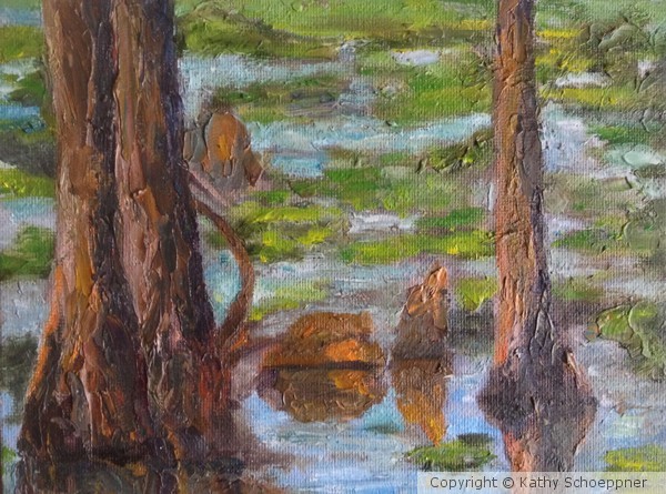 Cypress Swamp