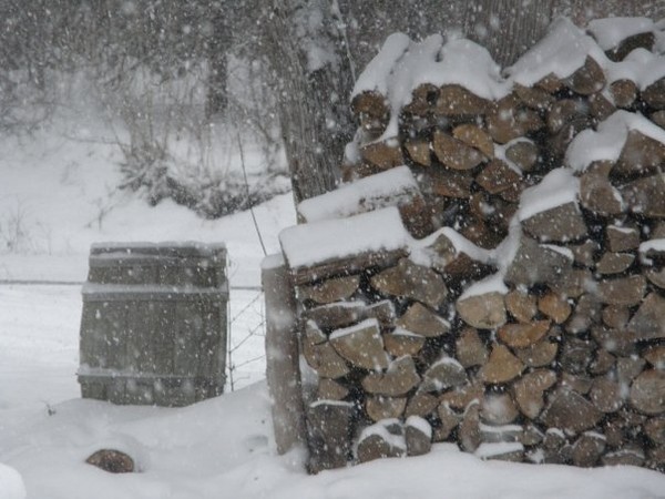 woodpile blues