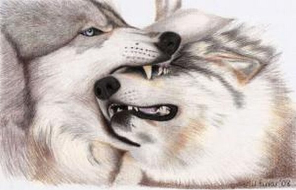 Alpha Bite