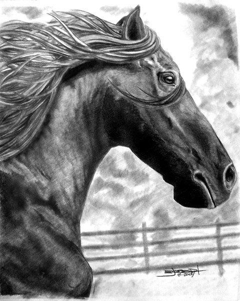 Running Horse Portrait