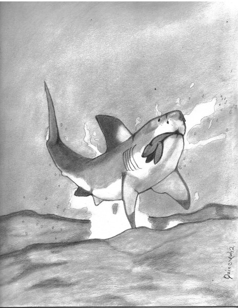 Carcharodon Hubbelli leaping into history