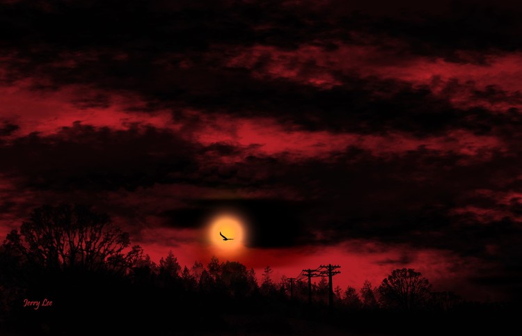 Code Red Sunset
