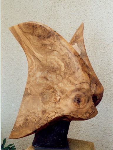 P8110023