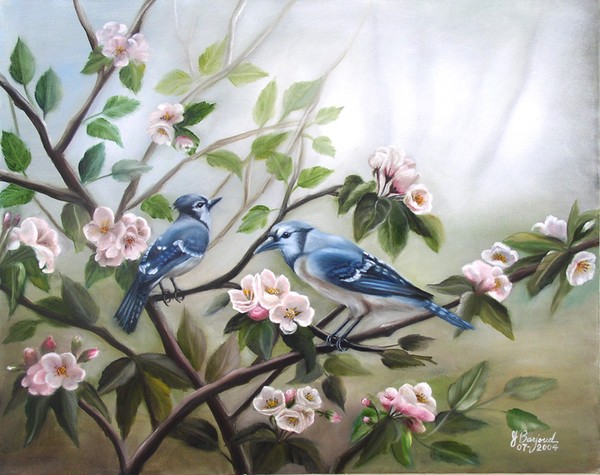 Blue Jays Paradise