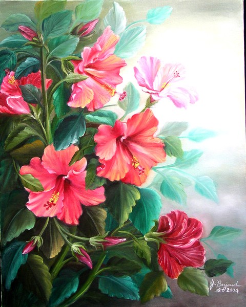 Hibiscus Bush