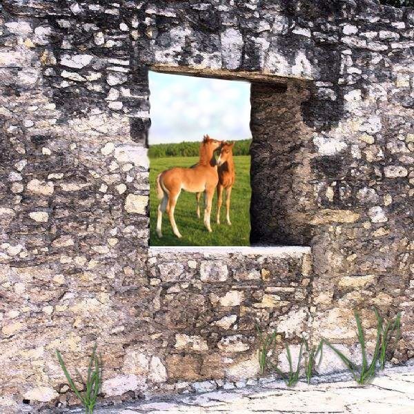 COLLABORALCHEMY, Members' Challenge, Window