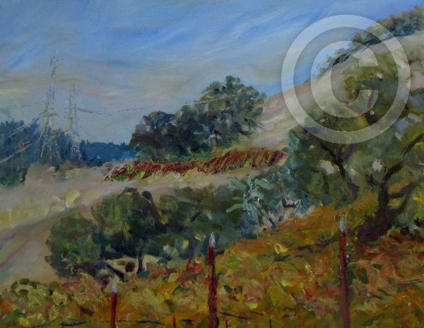 Vineyard Edges