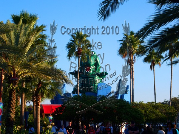 Crocodile on Roof Disney Marketplace