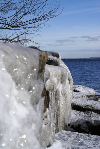 Ice On The Rocks