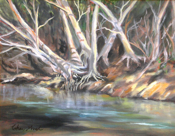 Gualala River