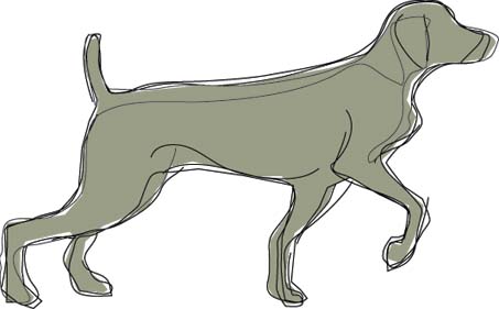 gundog