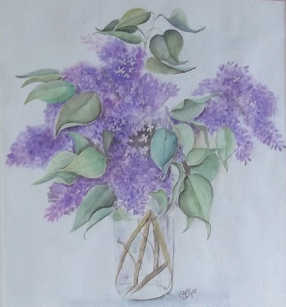 Lilacs