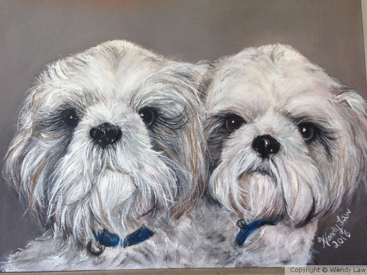 Darcy & Digby