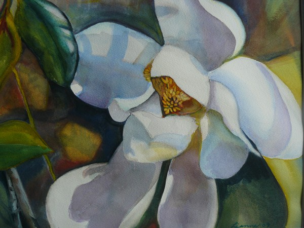 magic magnolia