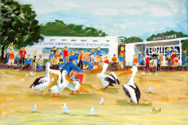 Feeding Pelicans San Remo Australia