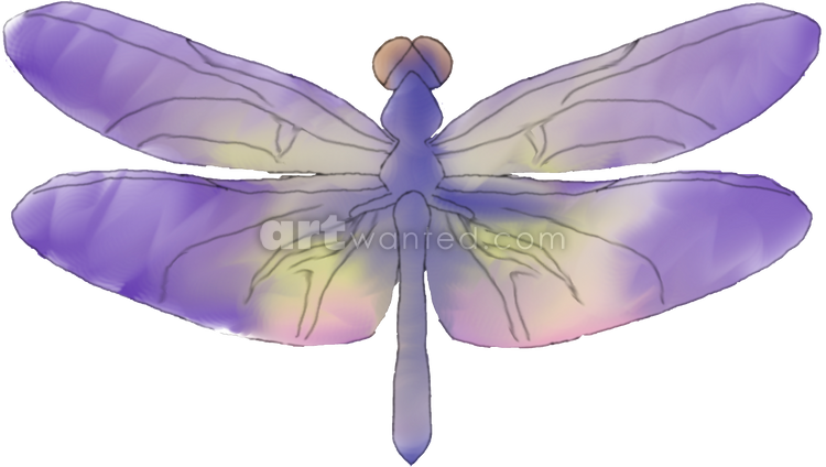 Watercolor Dragonfly