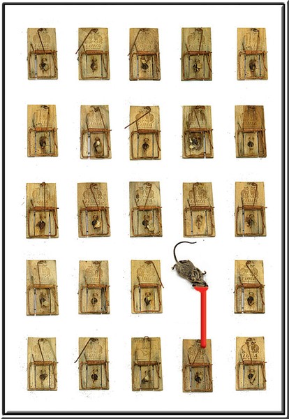portraits of mousetraps10003