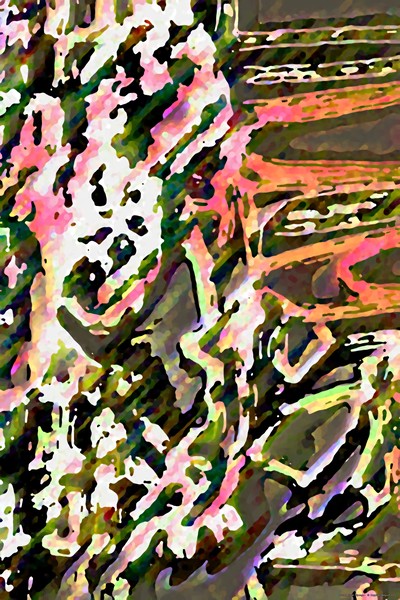 éponge