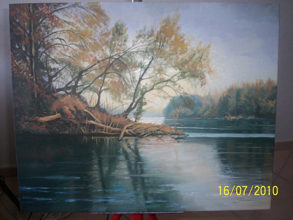 Water roadcross 1