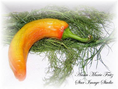 Fennel & Pepper