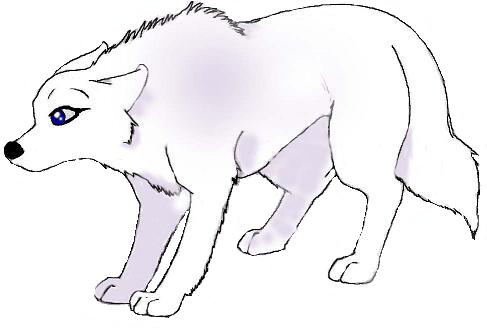 Shakou2