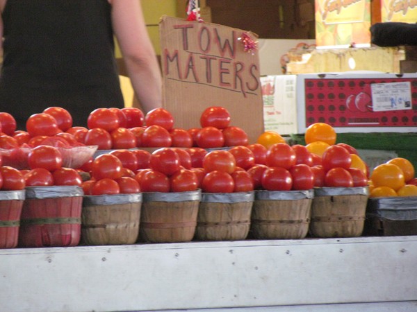tow-maters