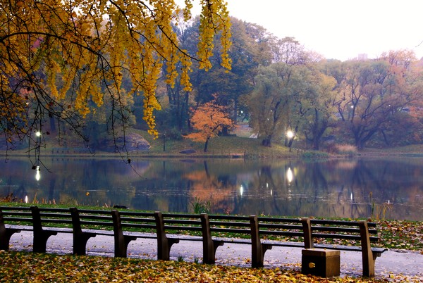 Mirror in fall