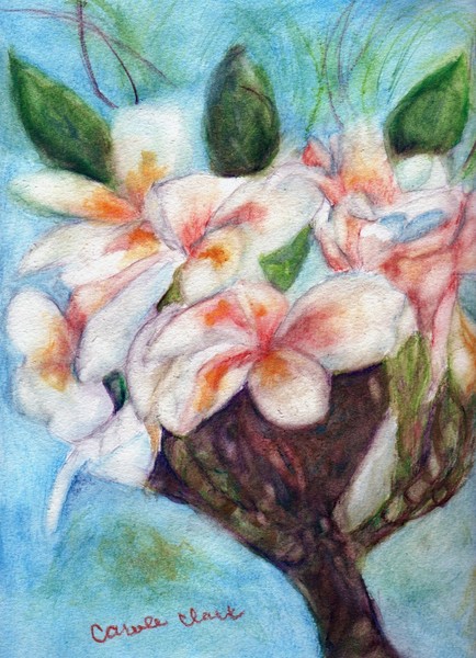 Plumerias