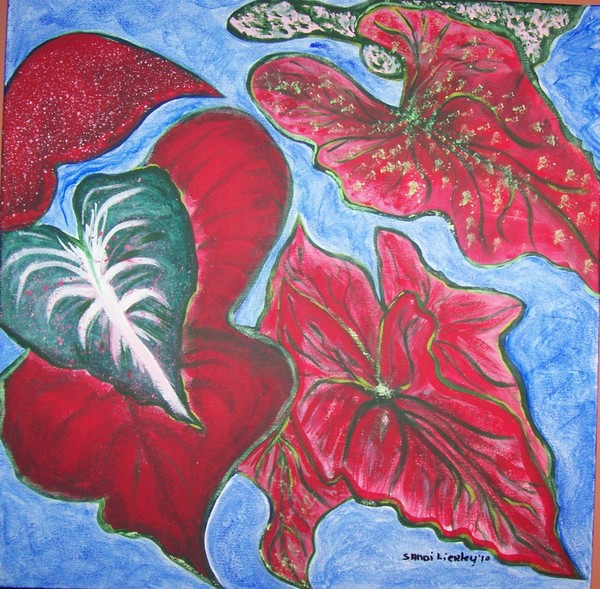 CALADIUMS