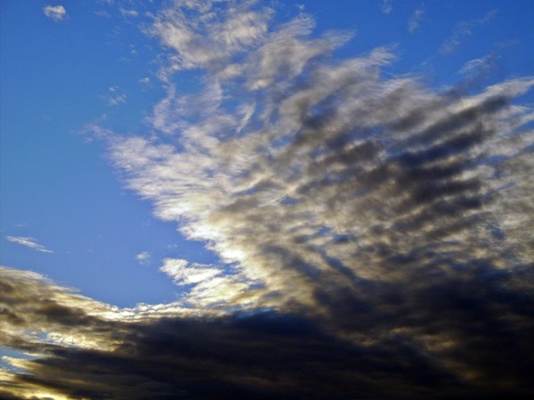 Over Head...