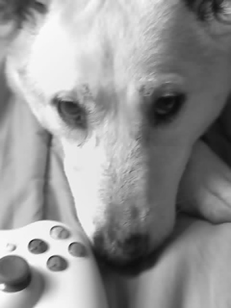 the cute face !! 
