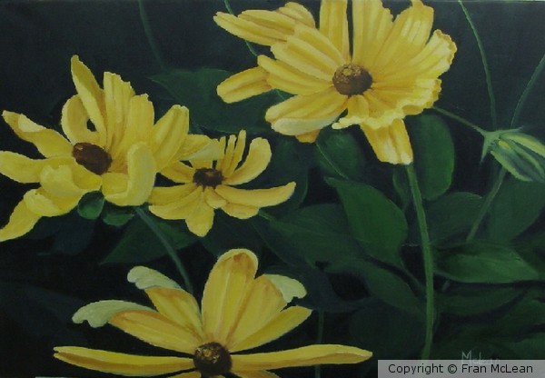 Dancing Daisies