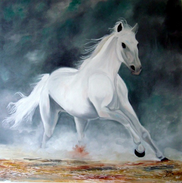 Horse in the Camargue 3