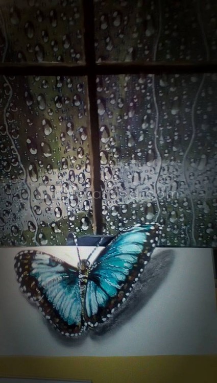 3d butterfly