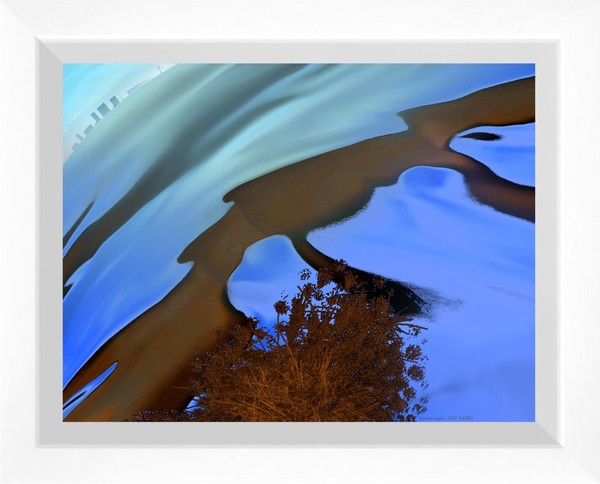 Winter Ravine