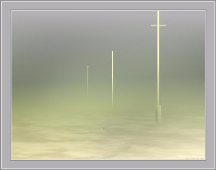 Field. Twilight