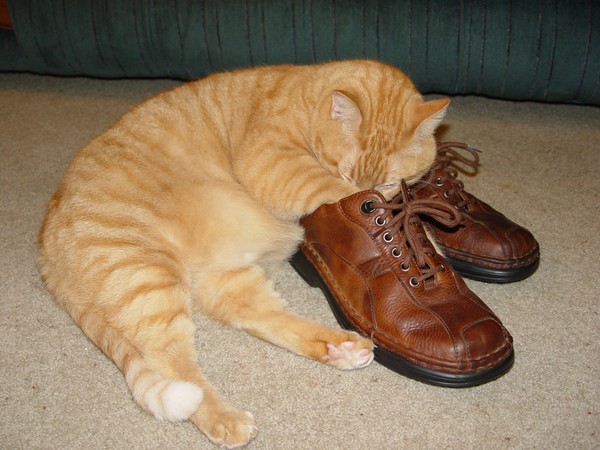 Big shoes to fill...