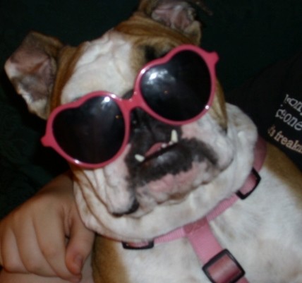 LUCY iS jUICY