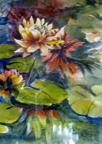 Waterlilies
