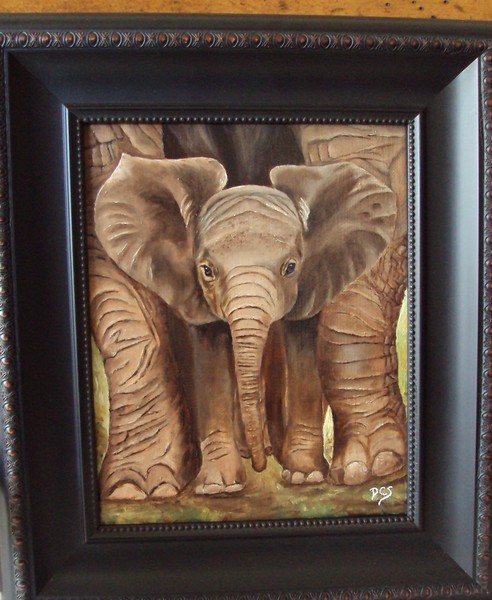 Baby Elephant