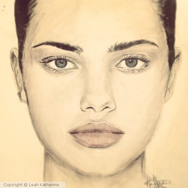 Portrait of Adriana Lima by tomjogi on Stars Portraits  1