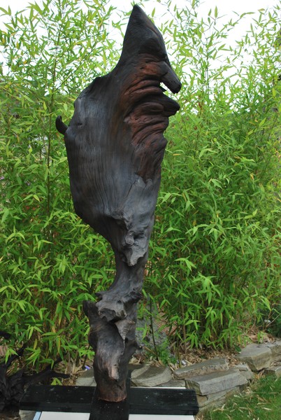 BOG WOOD