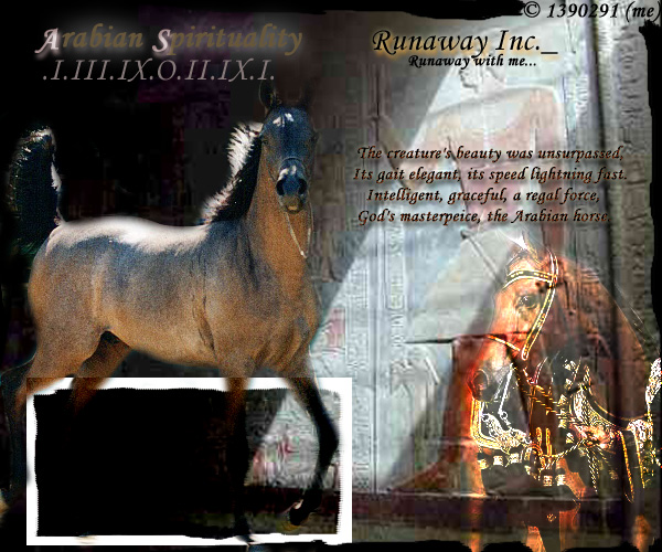 horse