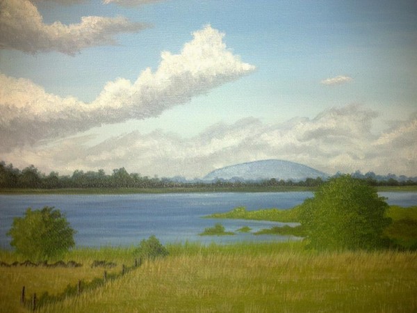 Along the shores of Lough Gara