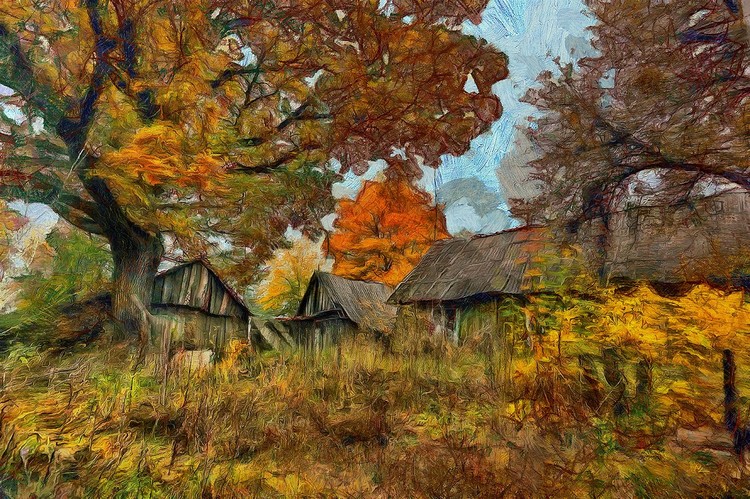 Homestead by the oak 