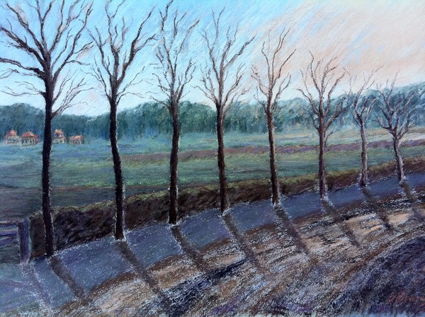 Winter Field