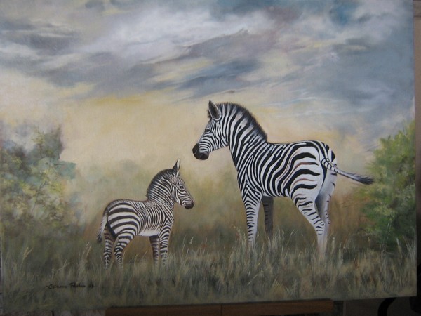 Zebra